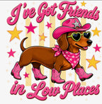 "I've Got Friends In Low Places" Graphic Tee