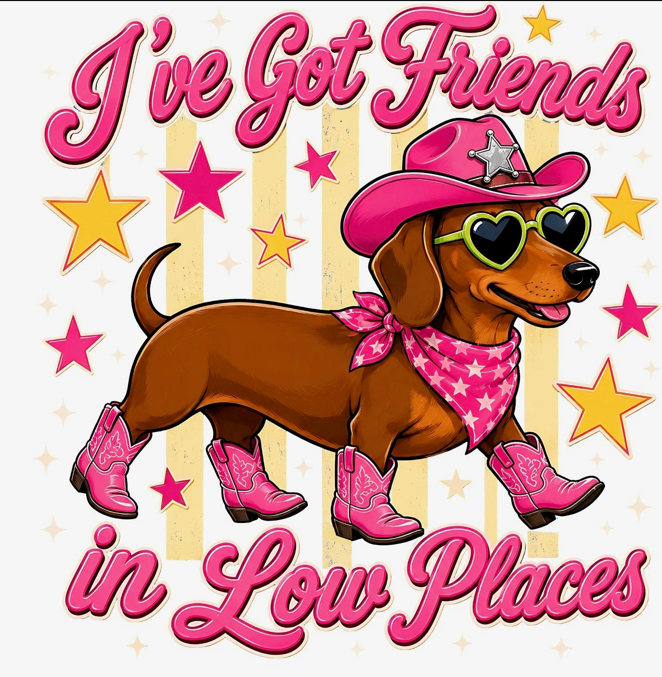 "I've Got Friends In Low Places" Graphic Tee